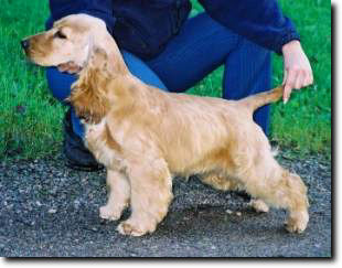 Northworth Jar Against All